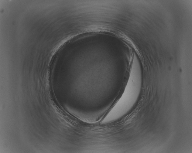 X0000072950387200608181411