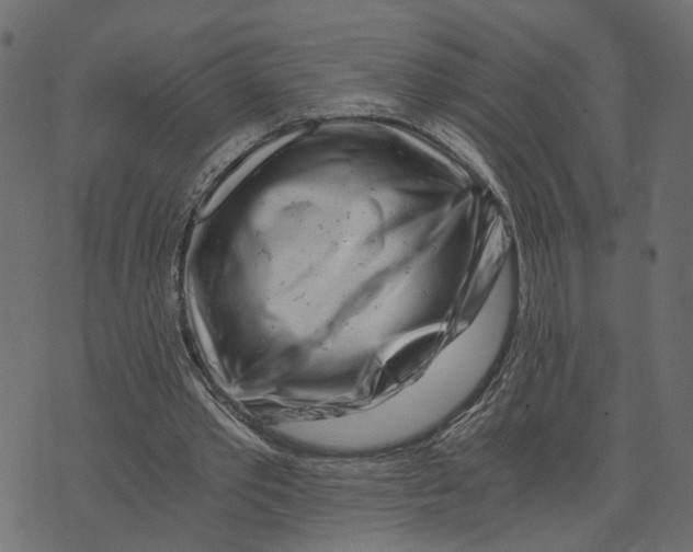 X0000072950389200608181411