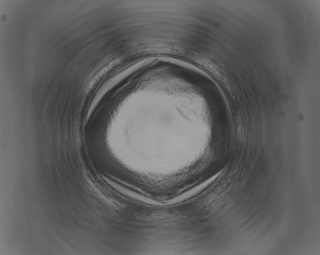 X0000072950390200608181411