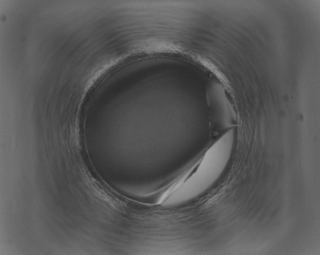 X0000072950391200608181411