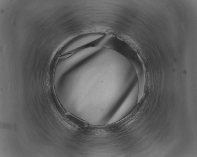 X0000072950392200608181411