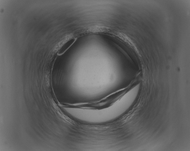 X0000072950393200608181411