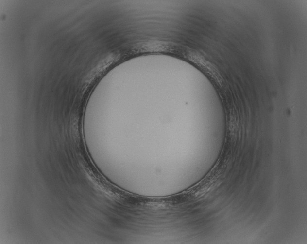 X0000072950394200608181411