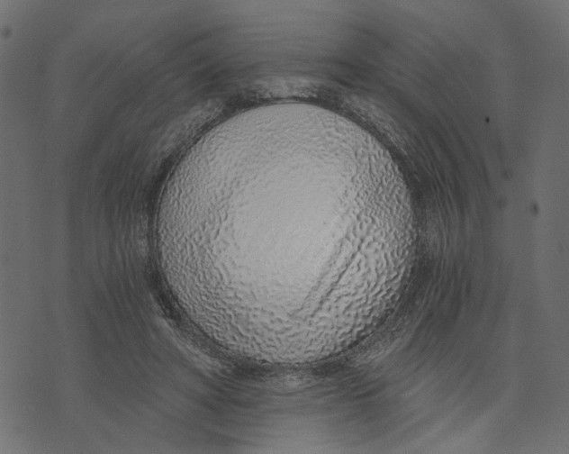 X0000072950402200608181411