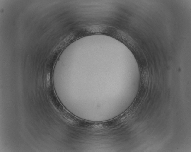 X0000072950406200608181411