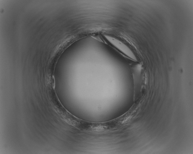 X0000072950407200608181411
