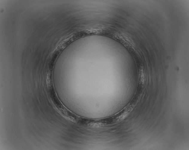 X0000072950408200608181411