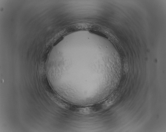 X0000072950411200608181411