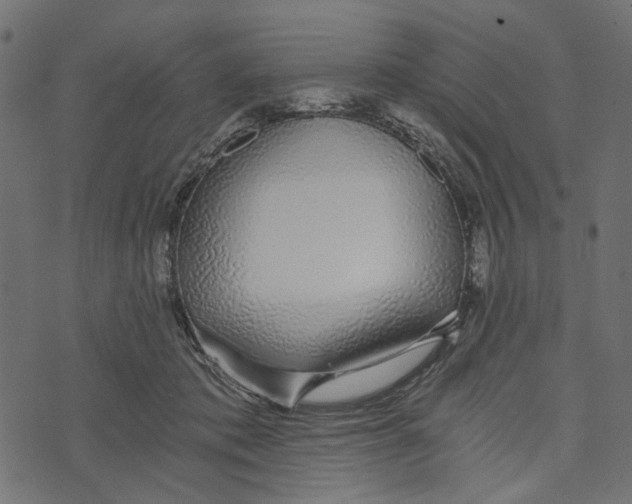 X0000072950413200608181411