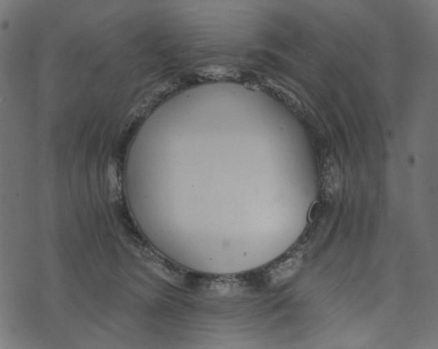 X0000072950420200608181411