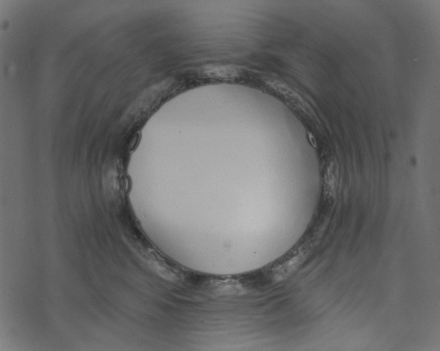 X0000072950424200608181411