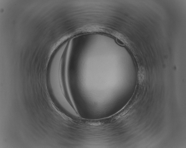X0000072950438200608181410