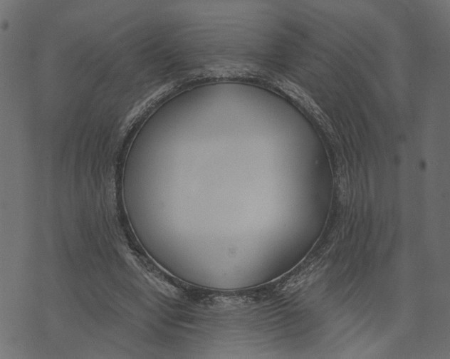 X0000072950442200608181410