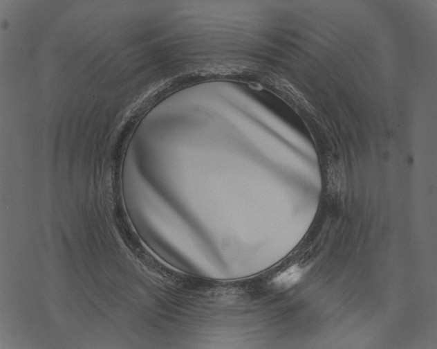 X0000072950444200608181410