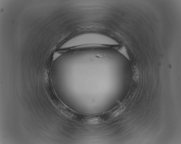 X0000072950456200608181410