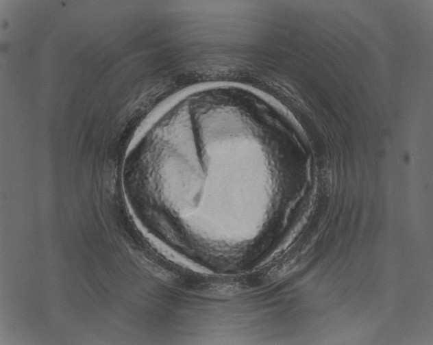 X0000072950458200608181410