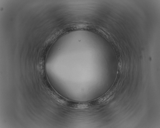 X0000072950462200608181410