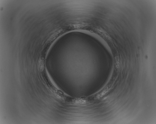 X0000072950471200608181411
