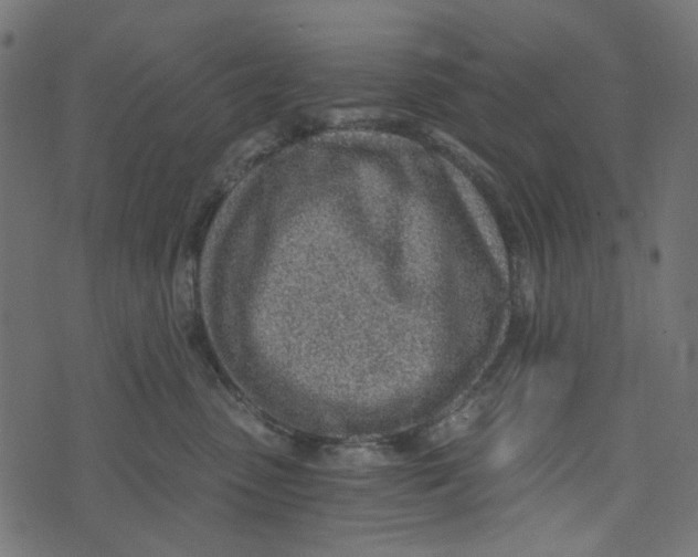 X0000072950475200608181411