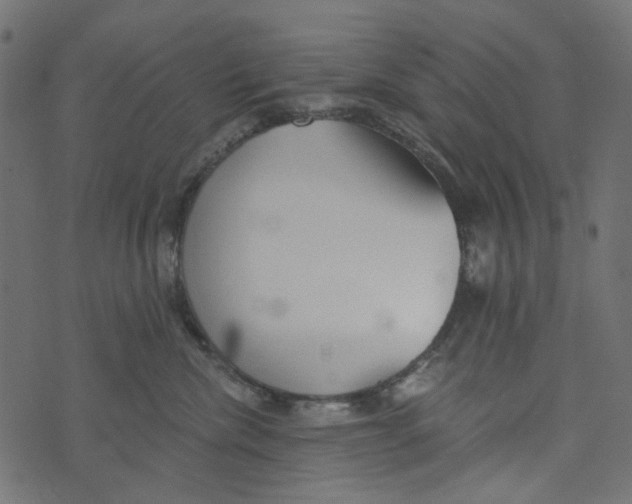 X0000072950476200608181411