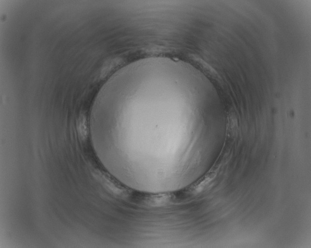 X0000072950479200608181411