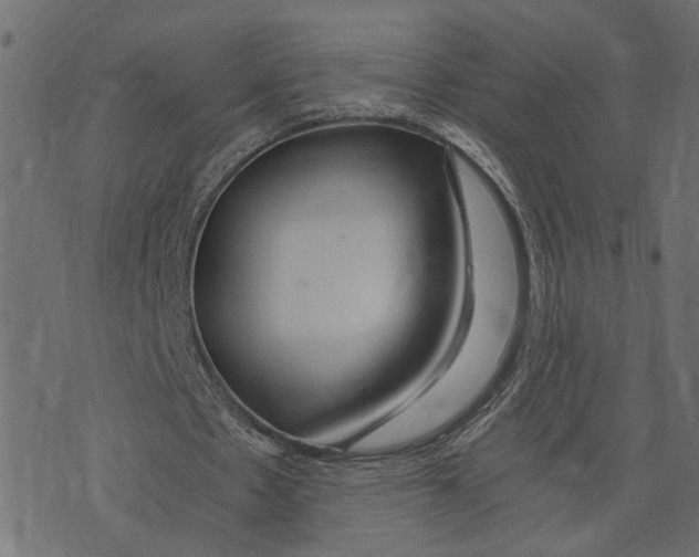 X0000072950481200608181410