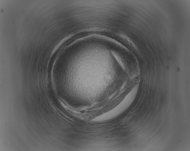 X0000072950484200608181410