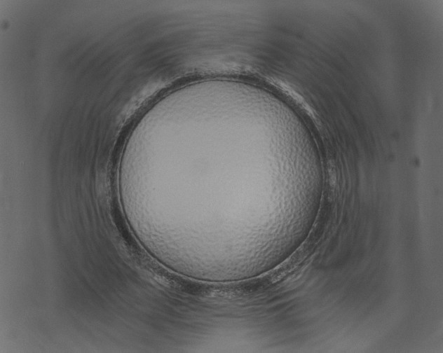 X0000072950487200608181410