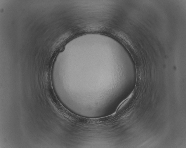 X0000072950491200608181410