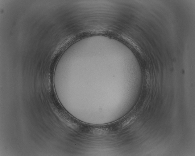 X0000072950494200608181410
