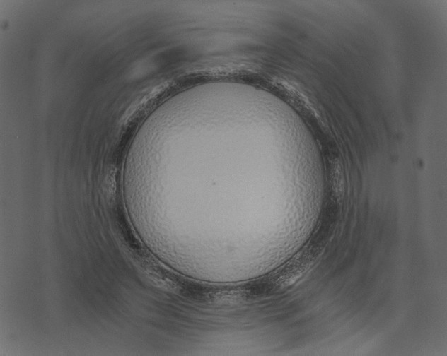X0000072950495200608181410
