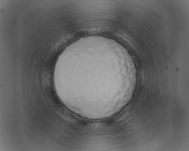 X0000072950499200608181410