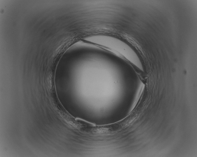 X0000072950501200608181410