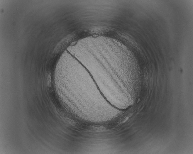X0000072950502200608181410