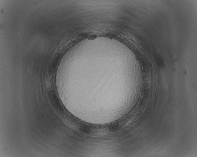 X0000072950503200608181410
