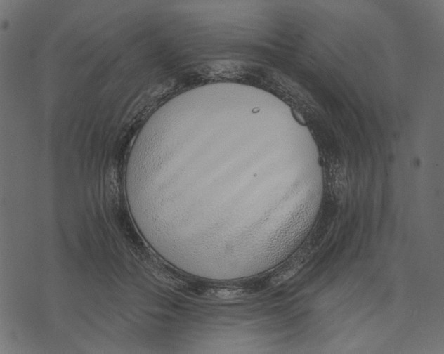 X0000072950506200608181410