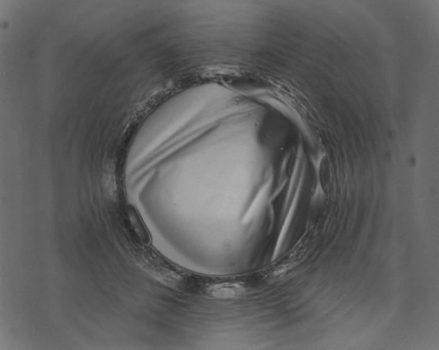 X0000072950508200608181409