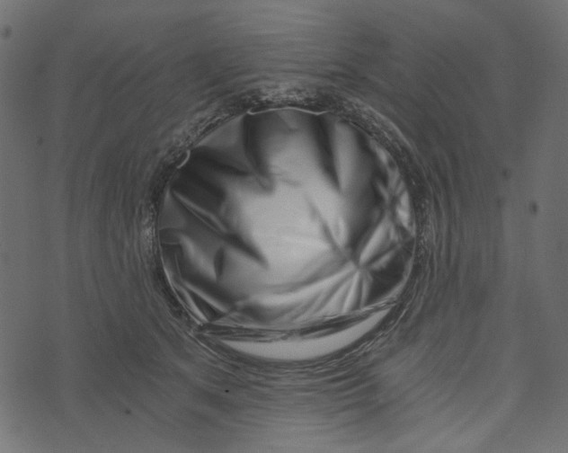 X0000072950513200608181409