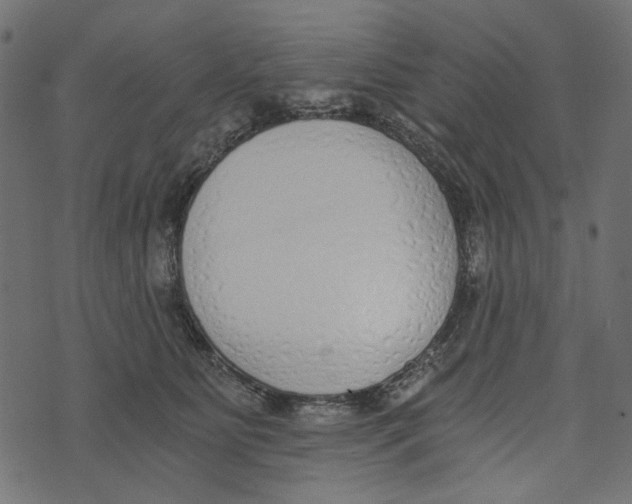 X0000072950515200608181409