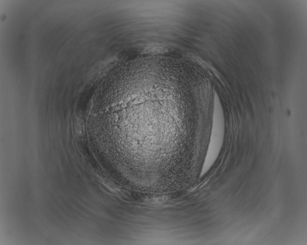 X0000072950517200608181409