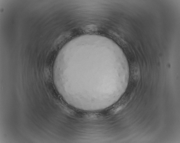 X0000072950523200608181409