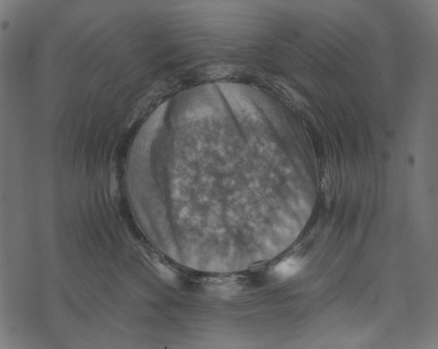 X0000072950524200608181409