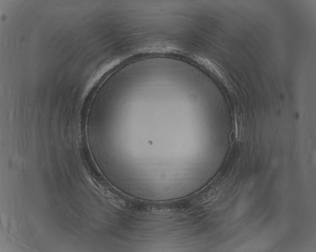 X0000072950531200608181408