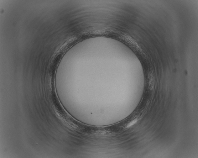 X0000072950542200608181409