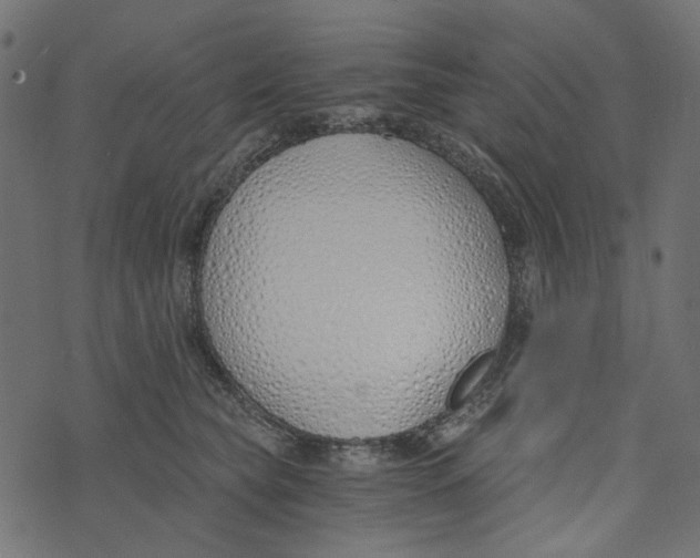 X0000072950565200608181409