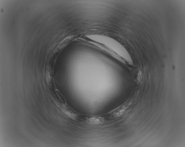 X0000072950566200608181409