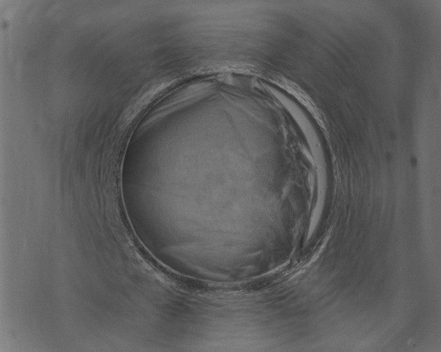 X0000072950577200608181408