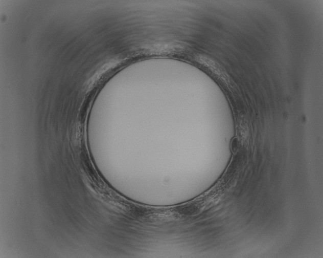 X0000072950583200608181408