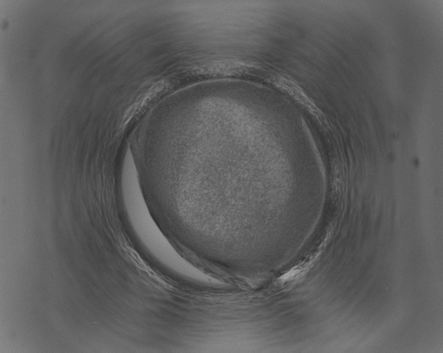 X0000072950585200608181408