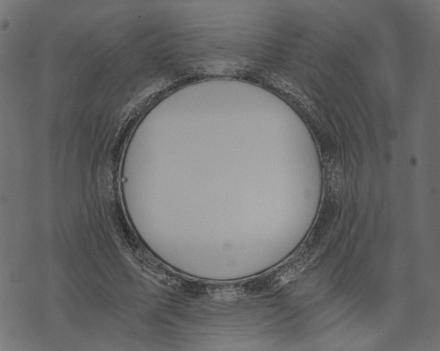 X0000072950587200608181408